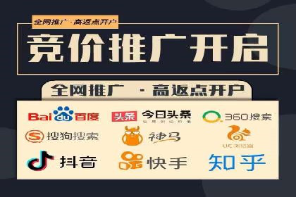 sem百度竞价实战：成功案例解析